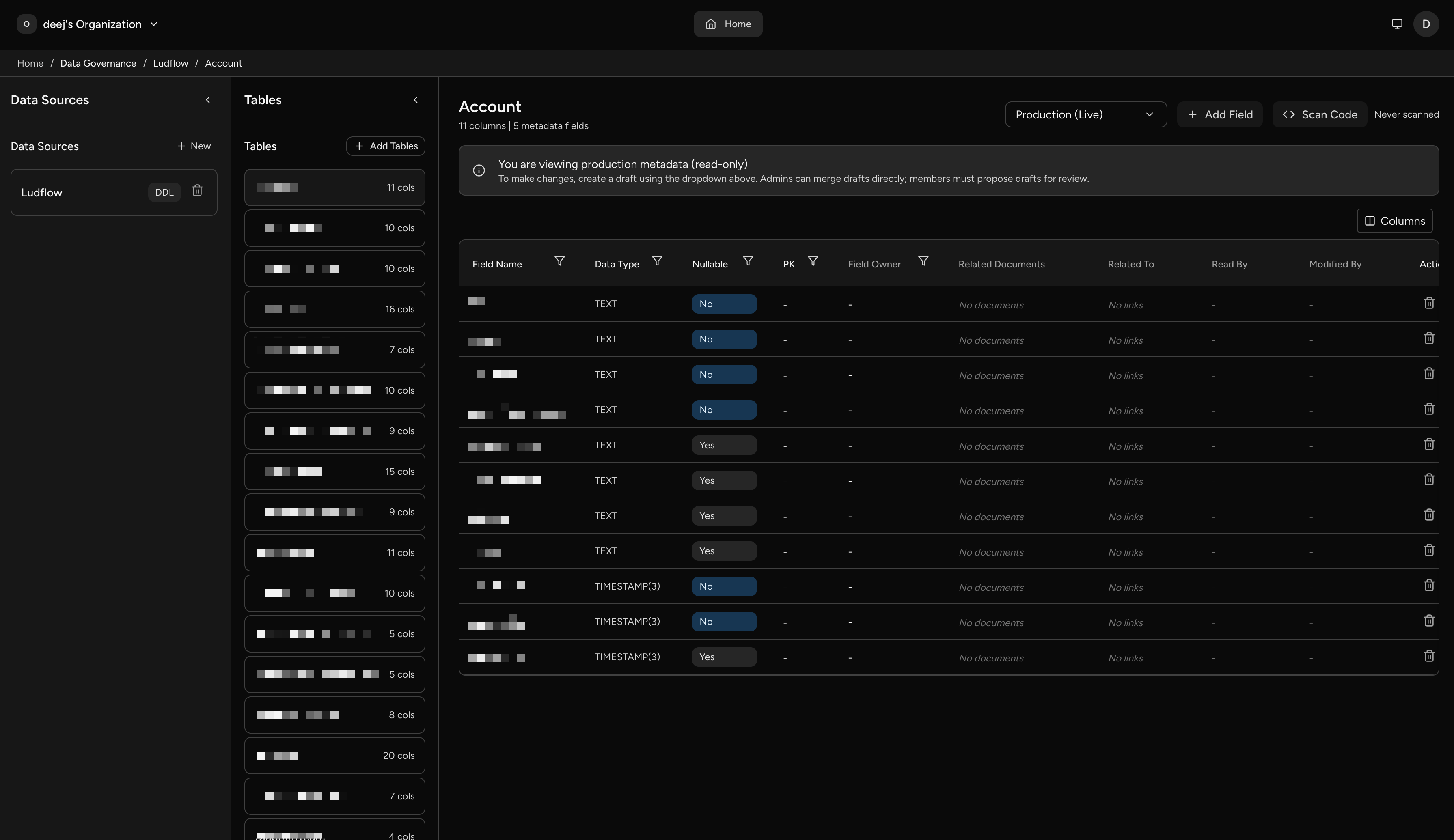 Data governance table with field ownership, PII flags, and metadata columns